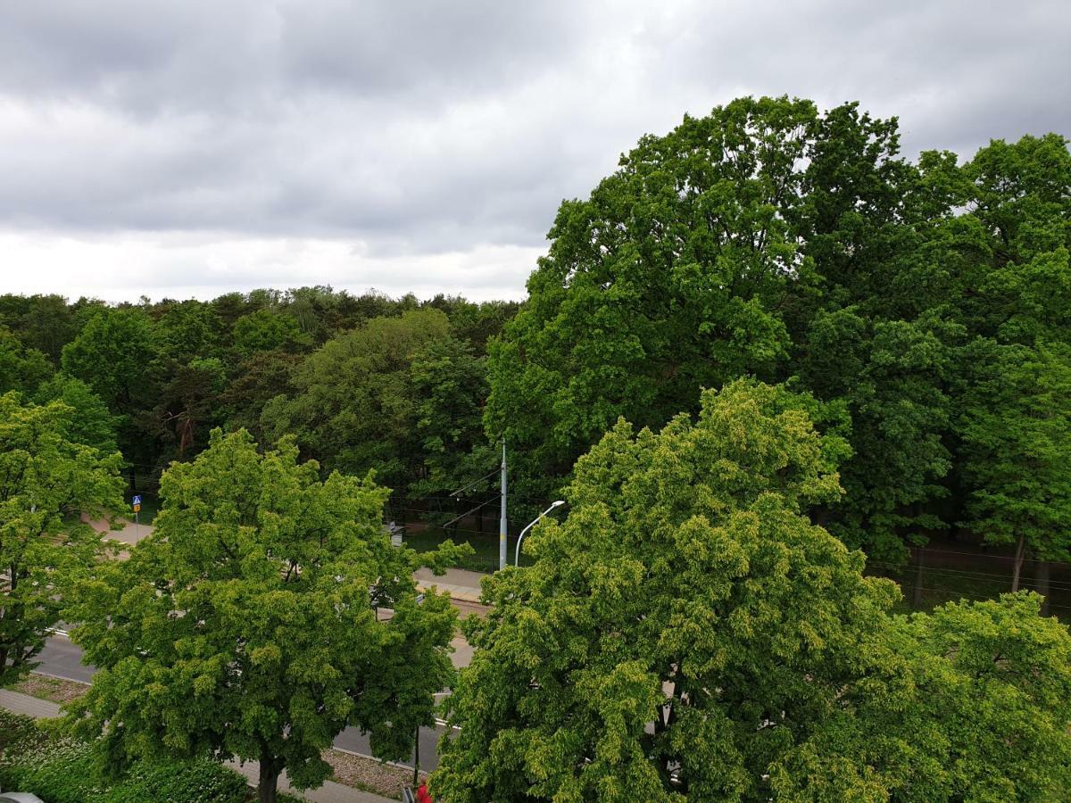 Apartament North Coast - Nad Morzem グダニスク エクステリア 写真